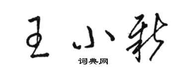 駱恆光王小新草書個性簽名怎么寫