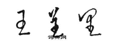 駱恆光王呈里草書個性簽名怎么寫