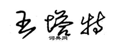 朱錫榮王塔特草書個性簽名怎么寫