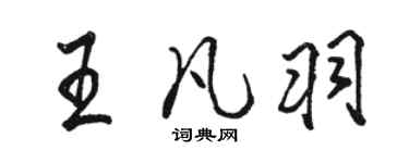 駱恆光王凡羽行書個性簽名怎么寫