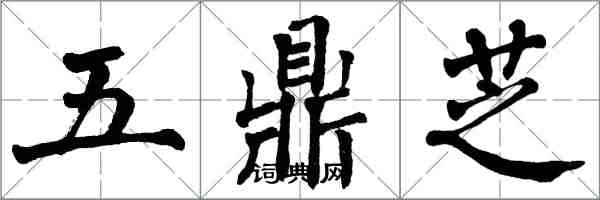 翁闓運五鼎芝楷書怎么寫