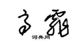 朱錫榮高霏草書個性簽名怎么寫