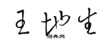 駱恆光王地生草書個性簽名怎么寫