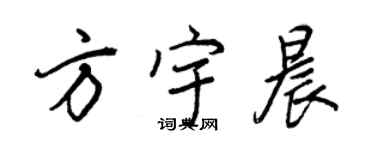 王正良方宇晨行書個性簽名怎么寫