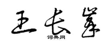 曾慶福王長峰草書個性簽名怎么寫
