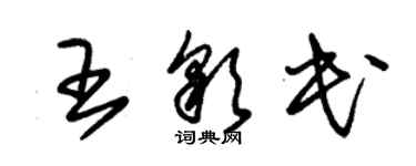 朱錫榮王彩民草書個性簽名怎么寫