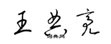 梁錦英王典亮草書個性簽名怎么寫