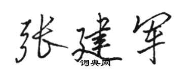 駱恆光張建軍行書個性簽名怎么寫