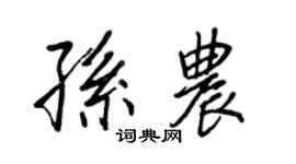 王正良孫農行書個性簽名怎么寫