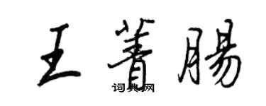 王正良王菁腸行書個性簽名怎么寫