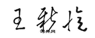 駱恆光王新憶草書個性簽名怎么寫