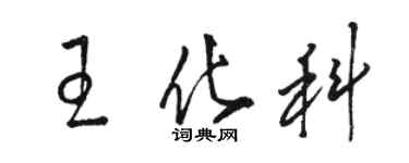 駱恆光王化科草書個性簽名怎么寫