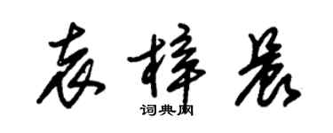 朱錫榮袁梓晨草書個性簽名怎么寫