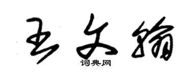 朱錫榮王文翰草書個性簽名怎么寫