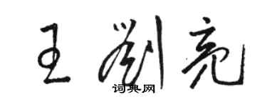 駱恆光王劉亮草書個性簽名怎么寫