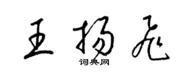 梁錦英王揚飛草書個性簽名怎么寫