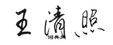 駱恆光王清照行書個性簽名怎么寫