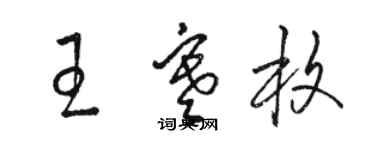 駱恆光王寒枚草書個性簽名怎么寫