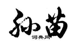 胡問遂孫苗行書個性簽名怎么寫