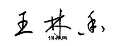 梁錦英王林香草書個性簽名怎么寫