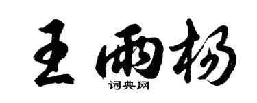 胡問遂王雨楊行書個性簽名怎么寫