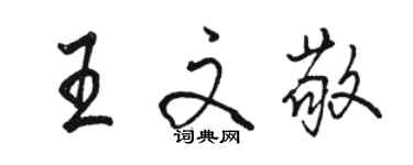 駱恆光王文敬行書個性簽名怎么寫