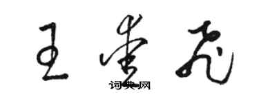 駱恆光王愛飛草書個性簽名怎么寫