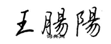 王正良王腸陽行書個性簽名怎么寫