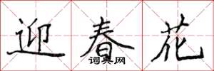 侯登峰迎春花楷書怎么寫