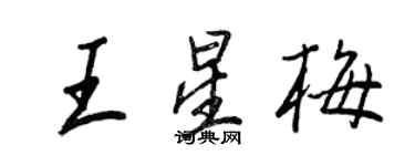 王正良王星梅行書個性簽名怎么寫