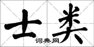 翁闓運士類楷書怎么寫