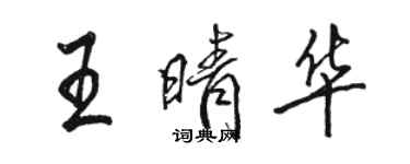 駱恆光王晴華行書個性簽名怎么寫
