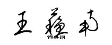 梁錦英王蘇南草書個性簽名怎么寫