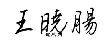 王正良王曉腸行書個性簽名怎么寫