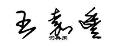 朱錫榮王嘉豐草書個性簽名怎么寫