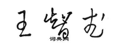 駱恆光王智武草書個性簽名怎么寫