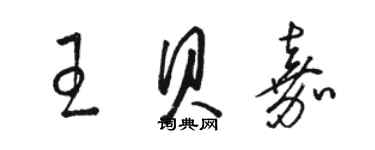 駱恆光王貝嘉草書個性簽名怎么寫