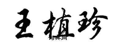 胡問遂王植珍行書個性簽名怎么寫