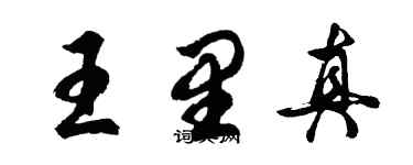 胡問遂王里真行書個性簽名怎么寫