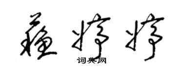 梁錦英蘇婷婷草書個性簽名怎么寫