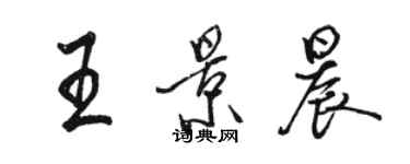 駱恆光王景晨行書個性簽名怎么寫