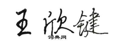 駱恆光王欣鍵行書個性簽名怎么寫