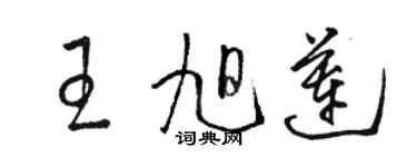 駱恆光王旭蓮草書個性簽名怎么寫