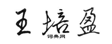 駱恆光王培盈行書個性簽名怎么寫