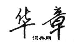 駱恆光華章行書個性簽名怎么寫