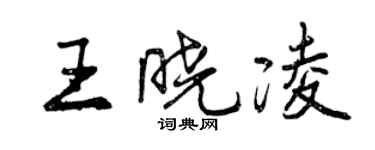 曾慶福王曉凌行書個性簽名怎么寫
