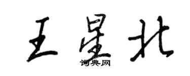 王正良王星北行書個性簽名怎么寫