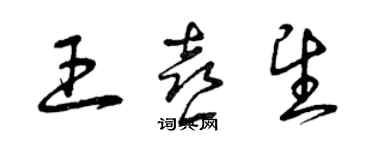 曾慶福王喜望草書個性簽名怎么寫