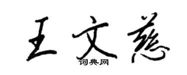 王正良王文慈行書個性簽名怎么寫
