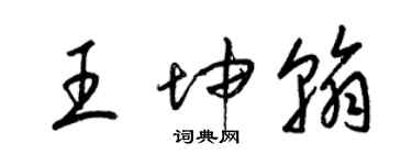 梁錦英王坤翰草書個性簽名怎么寫